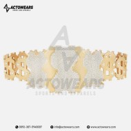 Championship Belts 02